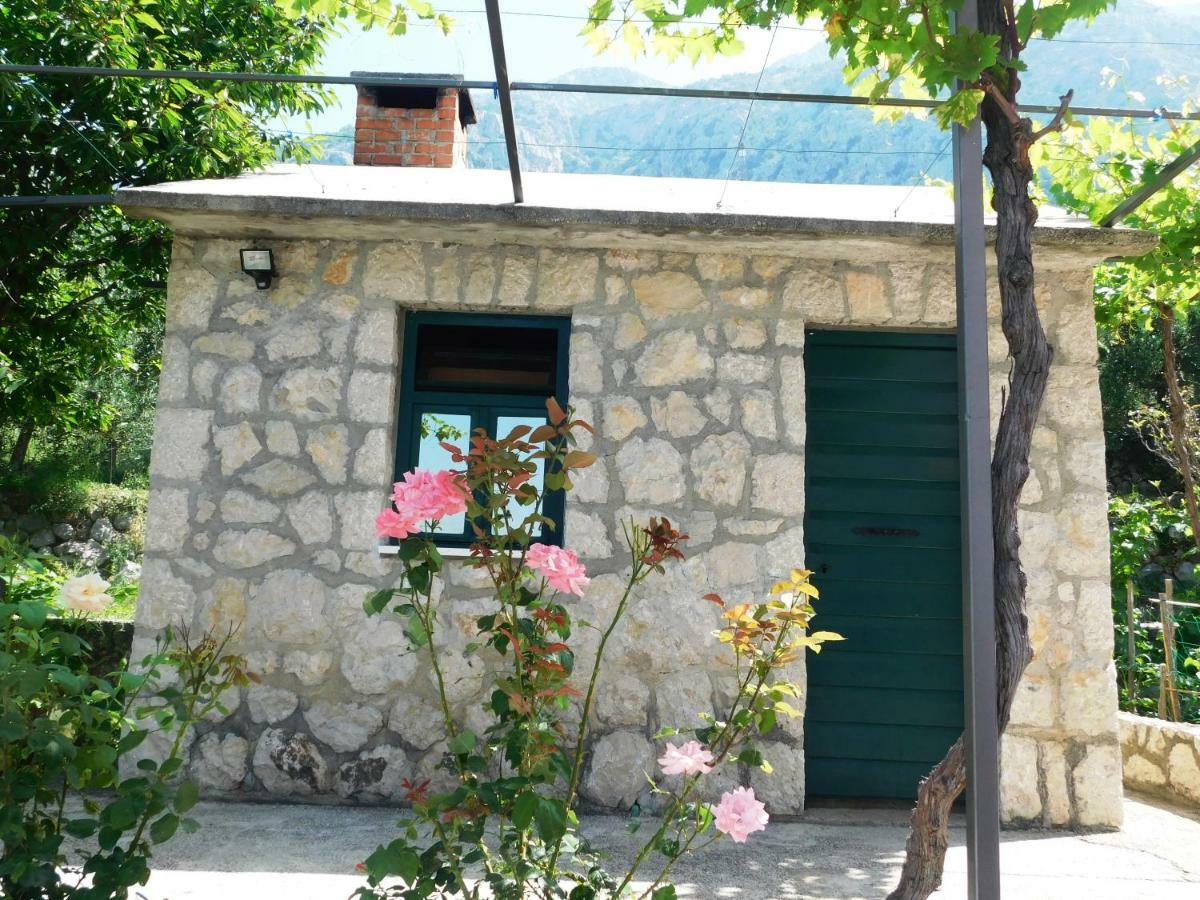 Apartman Niki Makarska Exterior foto